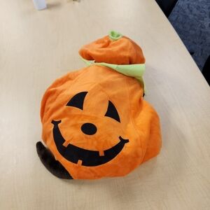 Pumpkin  costume